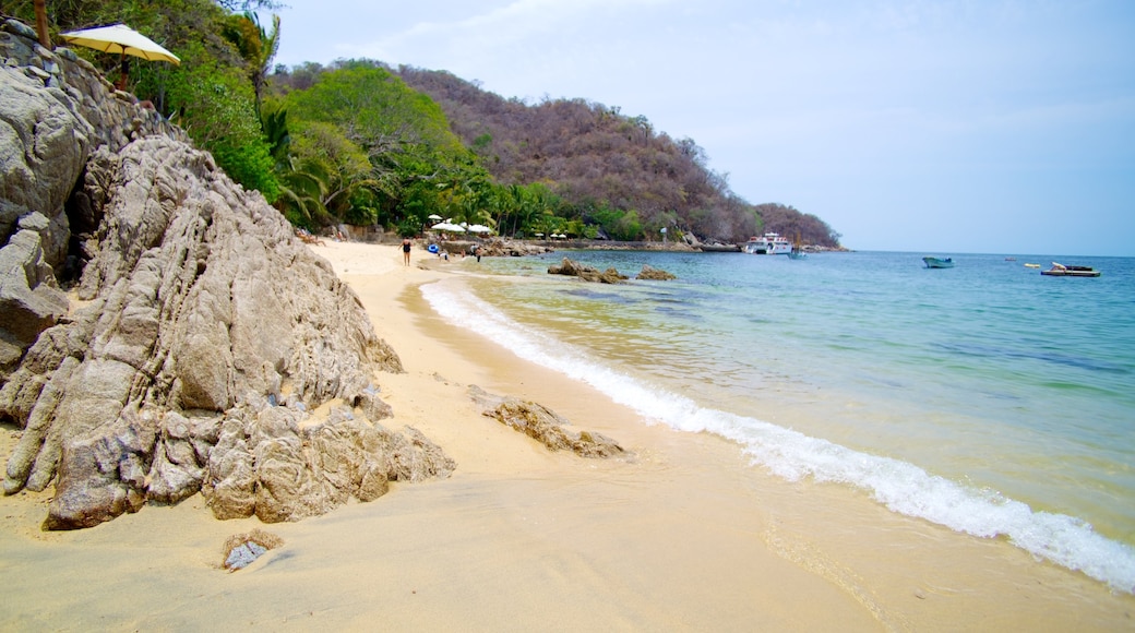 Puerto Vallarta ofreciendo una playa, escenas tropicales y una bahía o puerto