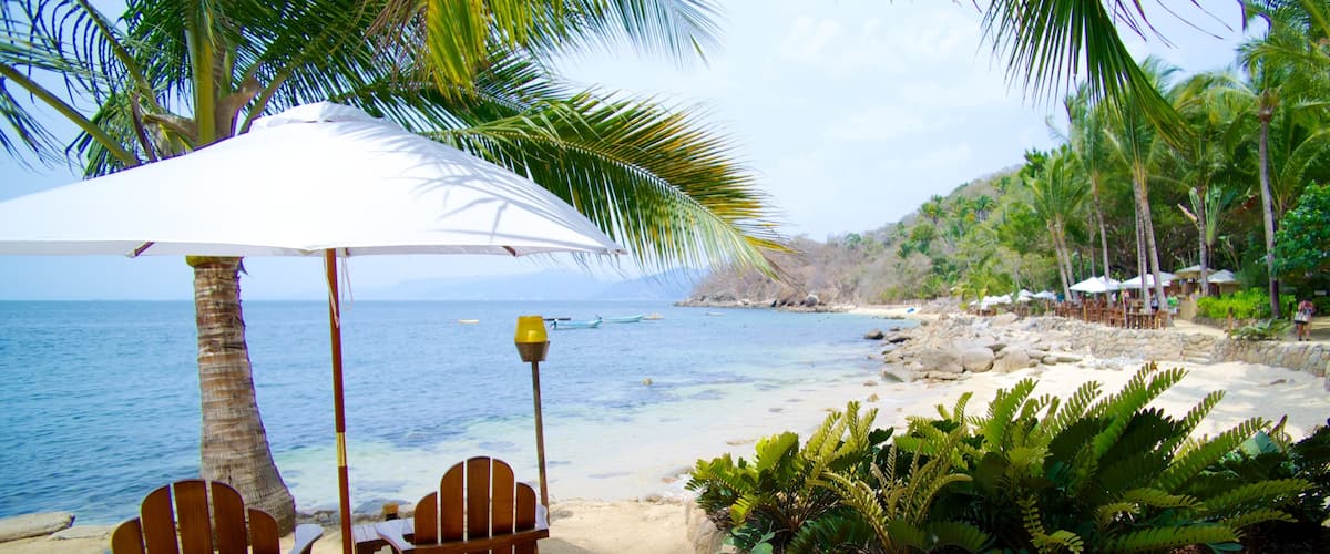 Las Caletas mettant en vedette plage, scĂšnes tropicales et hĂŽtel ou complexe de luxe