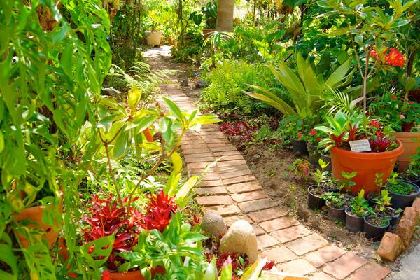Botanische Gärten Puerto Vallarta das einen Garten