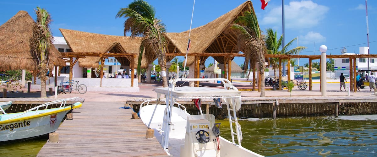Isla Holbox showing tropical scenes and a marina