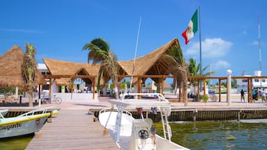 Isla Holbox which includes tropical scenes and a marina