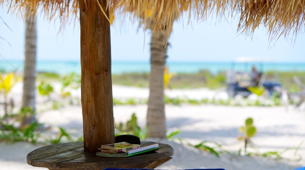 Isla Holbox che include spiaggia sabbiosa e paesaggio tropicale