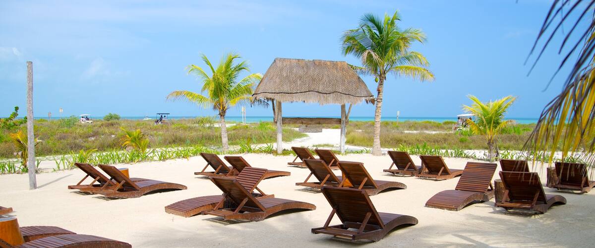 Holbox que incluye escenas tropicales, un hotel o resort de lujo y vistas generales de la costa