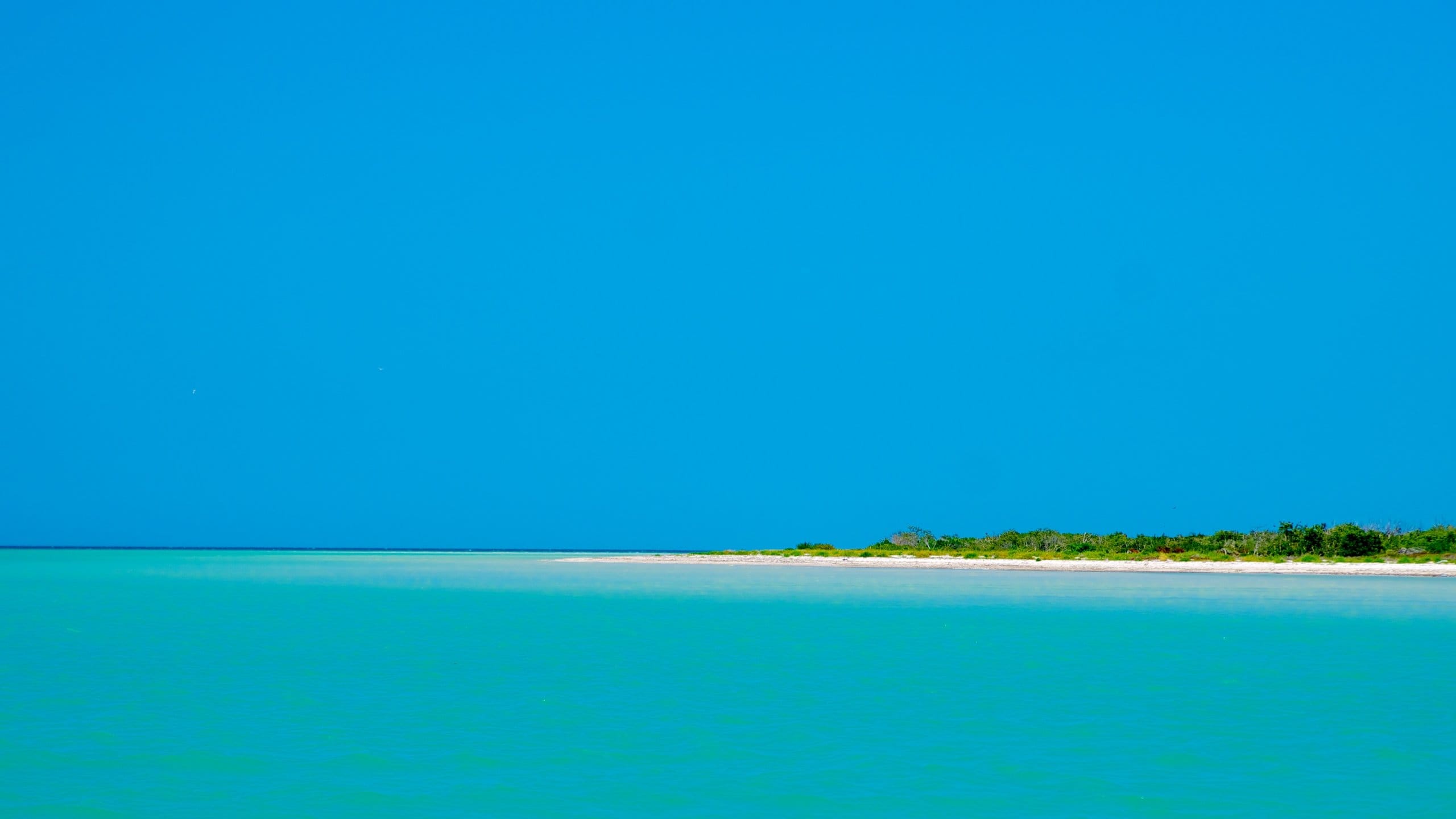 Visit Isla Holbox: 2026 Travel Guide for Isla Holbox, Quintana Roo | Expedia, image size:2560x1440