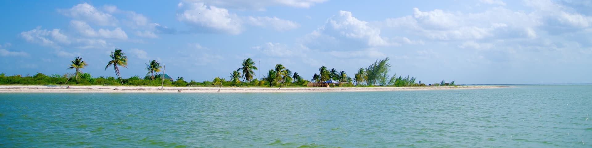 Isla Holbox featuring tropical scenes, island views and landscape views