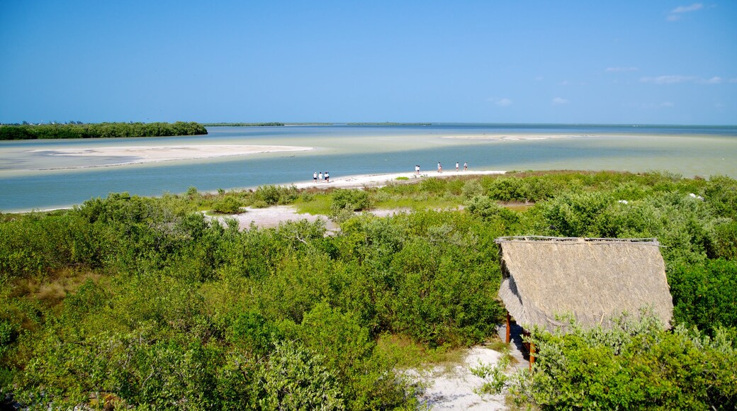 Isla Holbox which includes island views, landscape views and a sandy beach