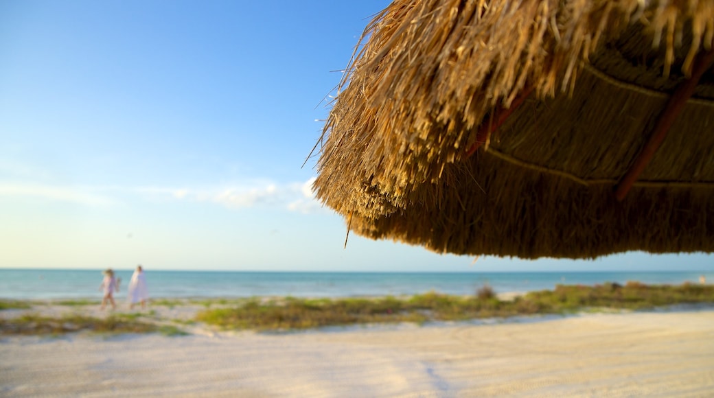 Isla Holbox which includes a beach