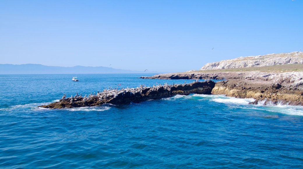 Puerto Vallarta ofreciendo costa rocosa y vistas de paisajes