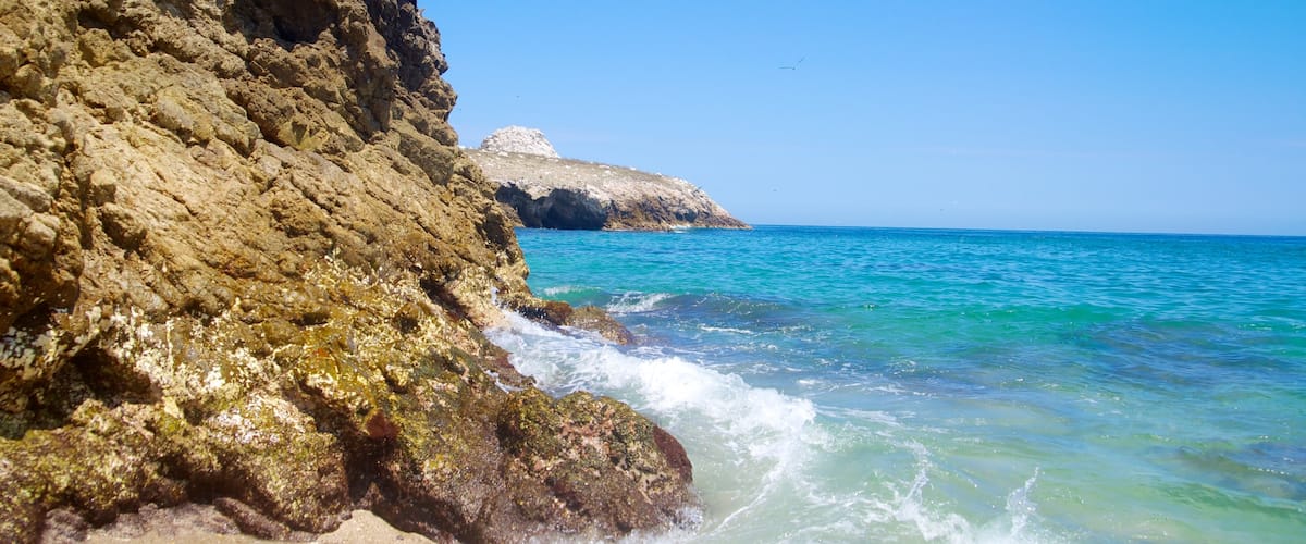Puerto Vallarta which includes a sandy beach, surf and rocky coastline