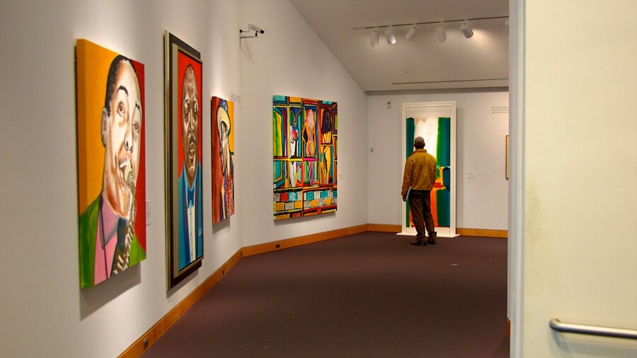 Kemper Museum of Contemporary Art which includes art and interior views as well as an individual male