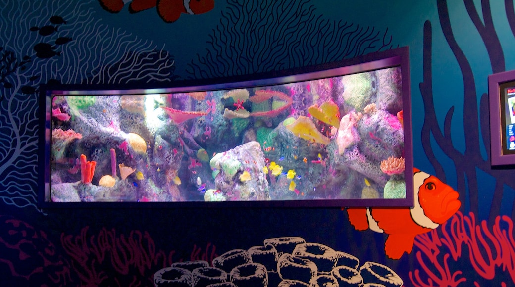 海洋生物水族馆