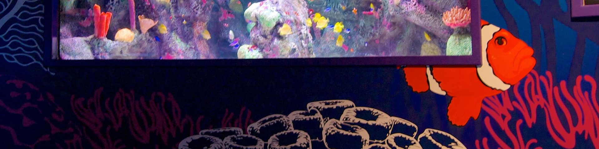 Sea Life Aquarium which includes marine life and interior views
