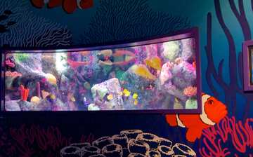 Visit SEA LIFE Kansas City Aquarium in Crown Center District ...