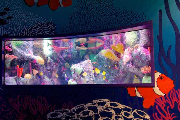 シー ライフ水族館 どの含み 海洋生物 と 屋内の眺め