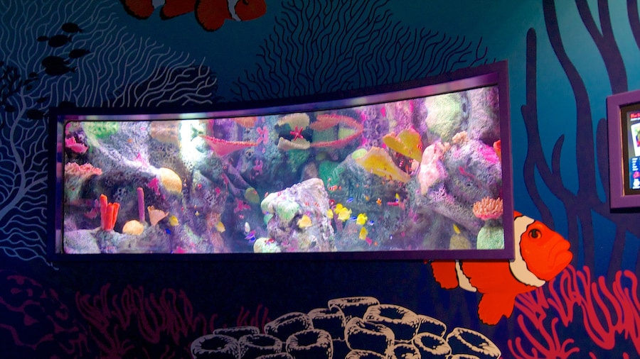 Sea Life Aquarium showing interior views and marine life
