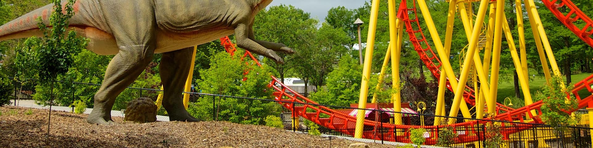 Worlds of Fun showing a garden and rides