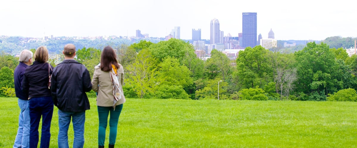 Pittsburgh featuring skyline and a park as well as a small group of people