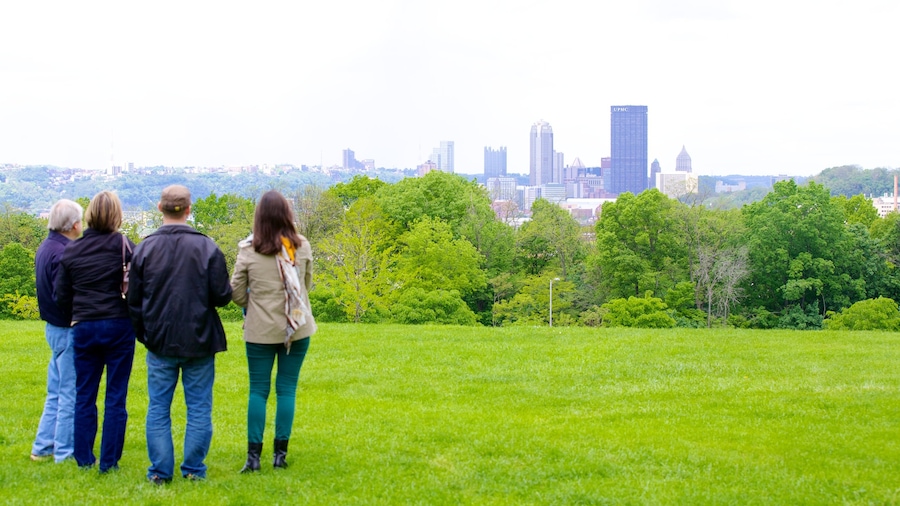 Pittsburgh mostrando skyline e parco cosi come un piccolo gruppo di persone
