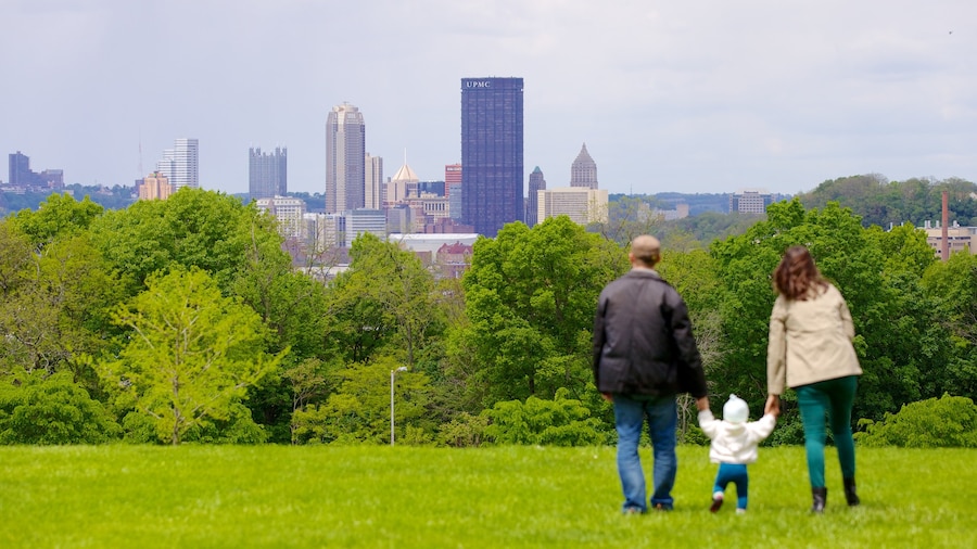 Schenley Park showing a skyscraper, a city and a garden