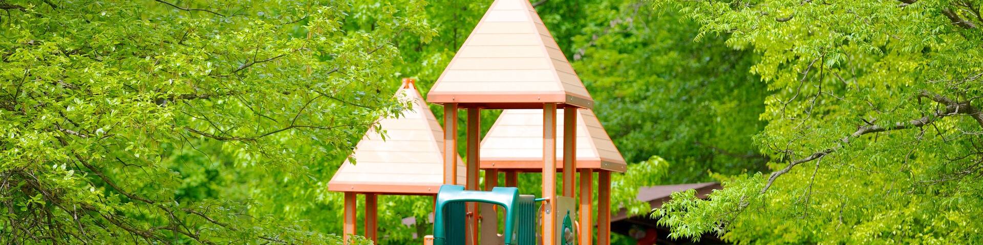 Schenley Park which includes a playground and a park