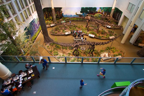 Carnegie Museum of Natural History welches beinhaltet Innenansichten und Ansichten