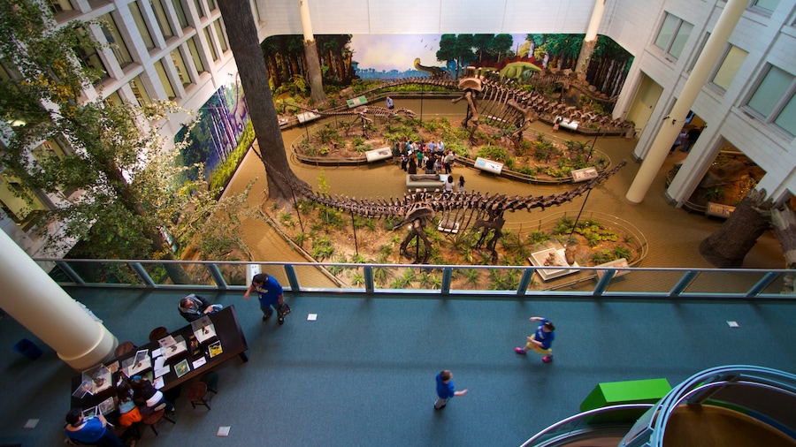 Carnegie Museum of Natural History mettant en vedette vues intérieures et vues