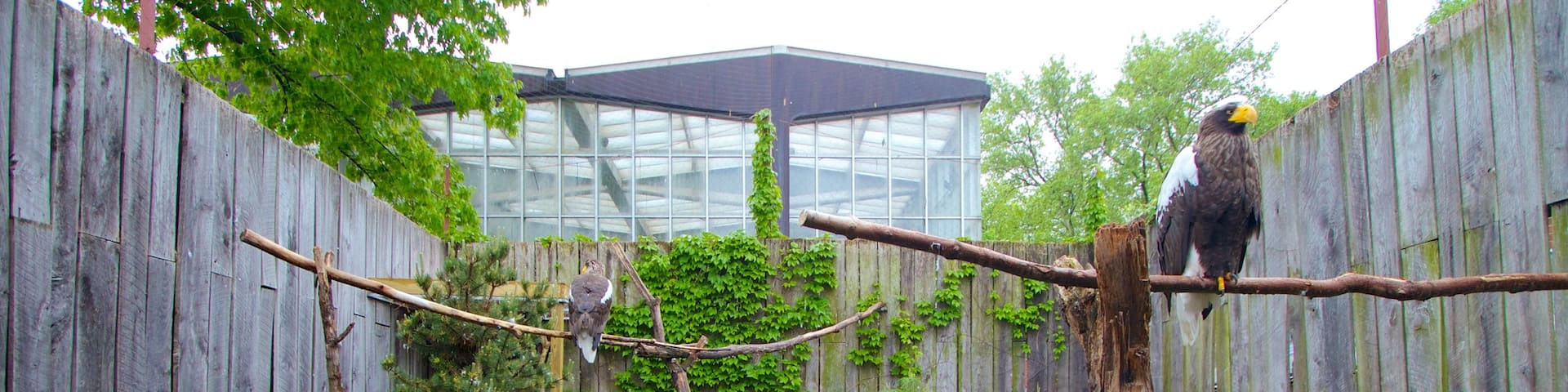 National Aviary which includes zoo animals and bird life