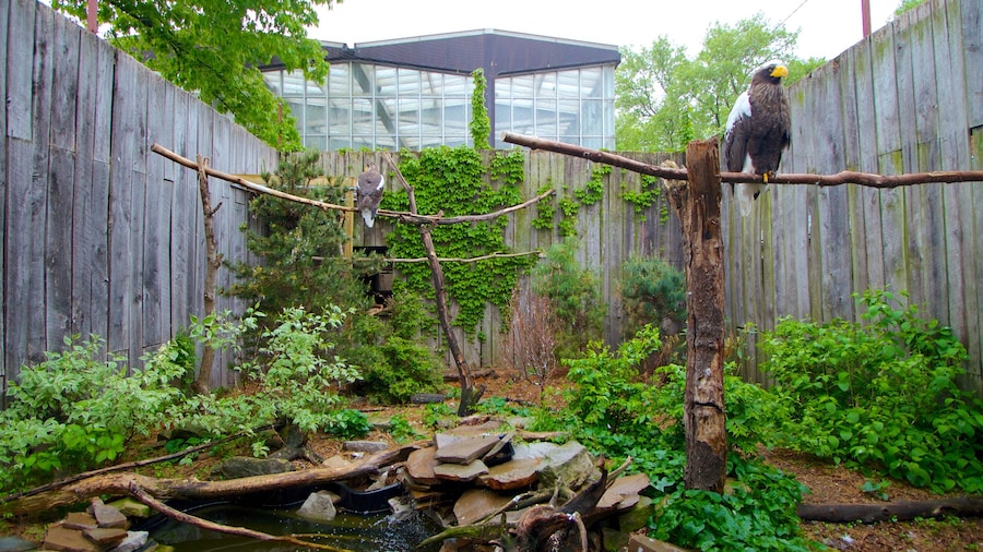 National Aviary