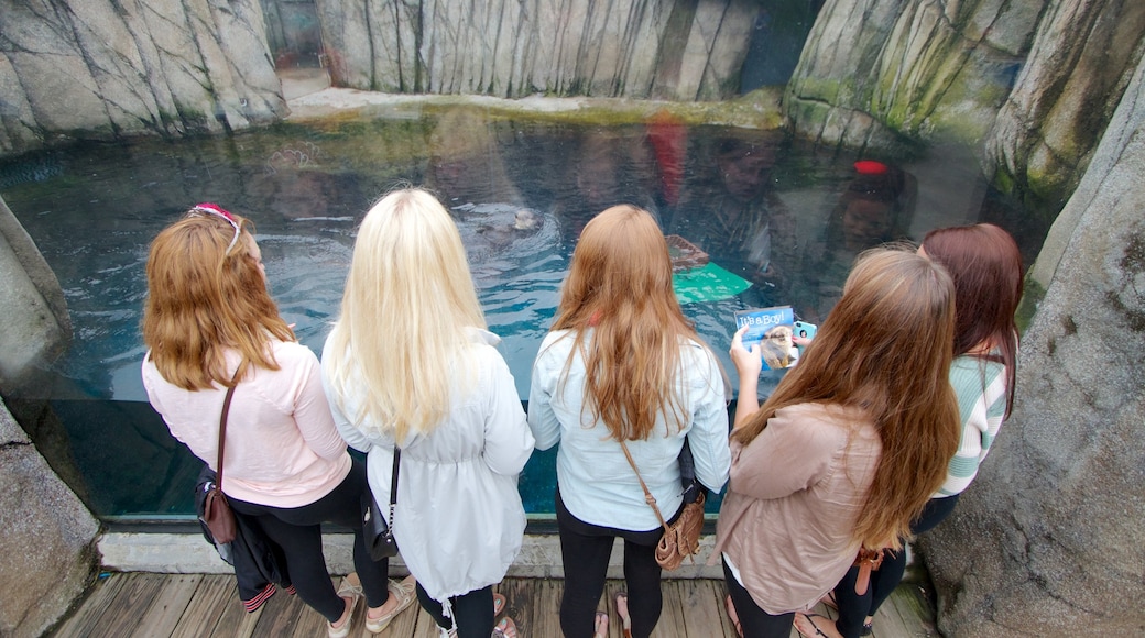 Pittsburgh Zoo and PPG Aquarium featuring eläintarhan eläimet ja merielämä sekä suuri ryhmä ihmisiä