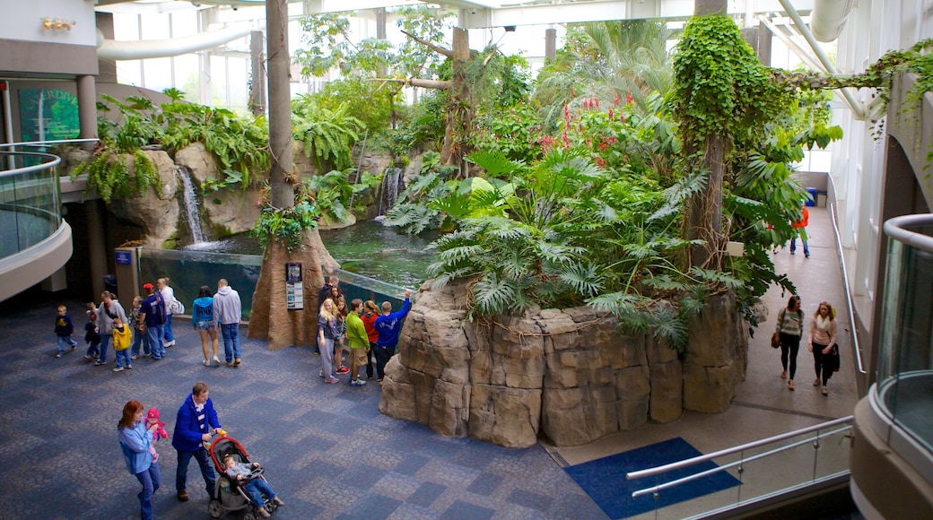 Pittsburgh Zoo and PPG Aquarium som visar interiörer och zoodjur sÄvÀl som en stor grupp av mÀnniskor