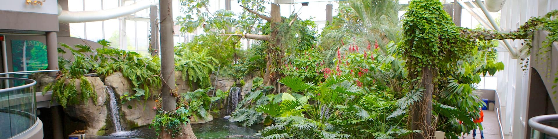 Pittsburgh Zoo and PPG Aquarium que incluye animales del zoológico y vistas interiores y también un gran grupo de personas