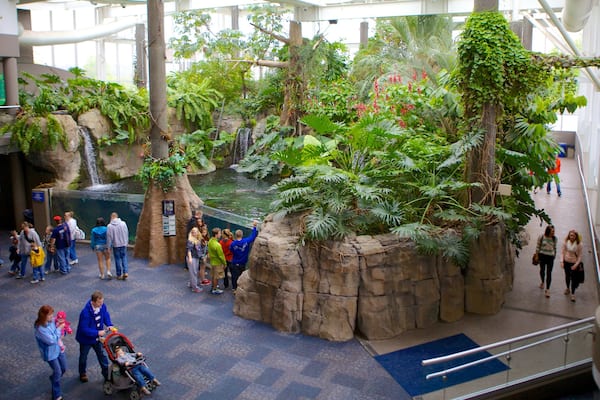 Pittsburgh Zoo and PPG Aquarium montrant animaux de zoo et vues intérieures aussi bien que important groupe de personnes