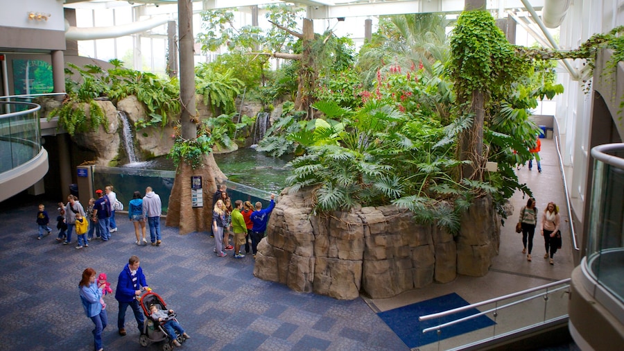 Pittsburgh Zoo and PPG Aquarium ofreciendo animales de zoológico y vista interna y también un gran grupo de personas