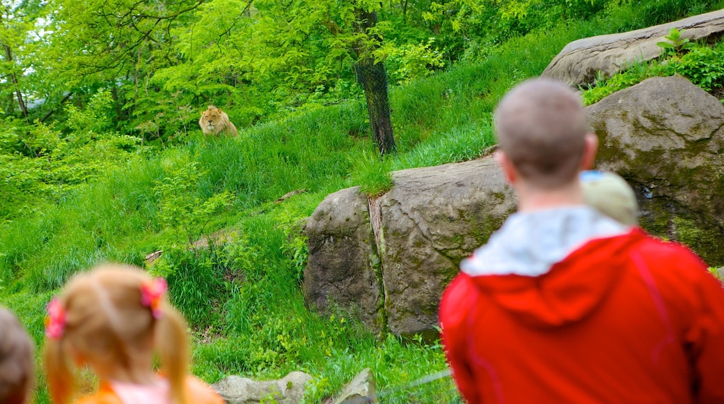 Pittsburgh Zoo and PPG Aquarium som inkluderar farliga djur och zoodjur