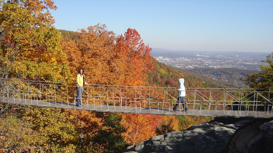 Chattanooga welches beinhaltet Brücke, Wandern oder Spazieren und Herbstfarben