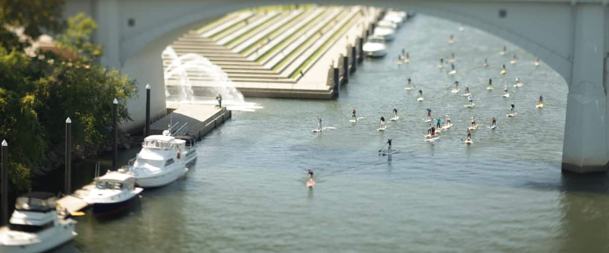 Chattanooga showing a bridge, a city and water sports