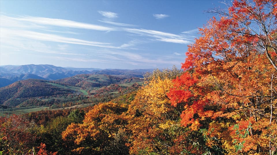 Rapid City showing mountains, landscape views and autumn leaves