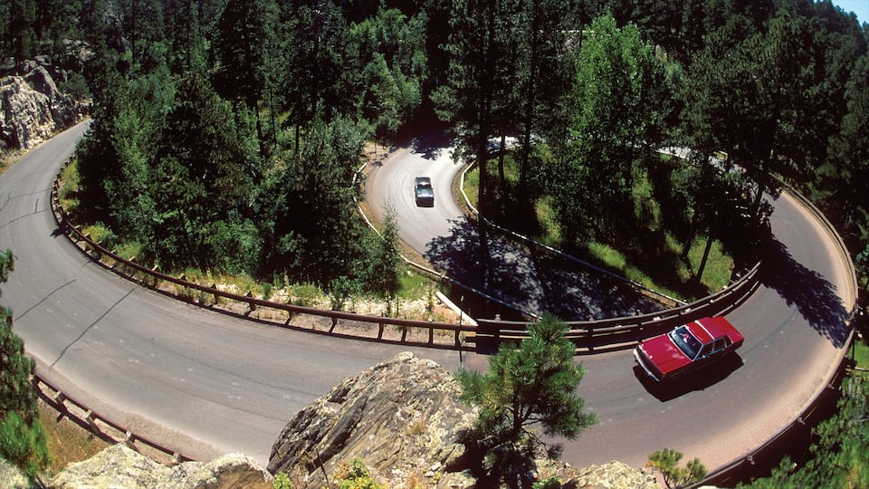 Rapid City featuring touring and forest scenes