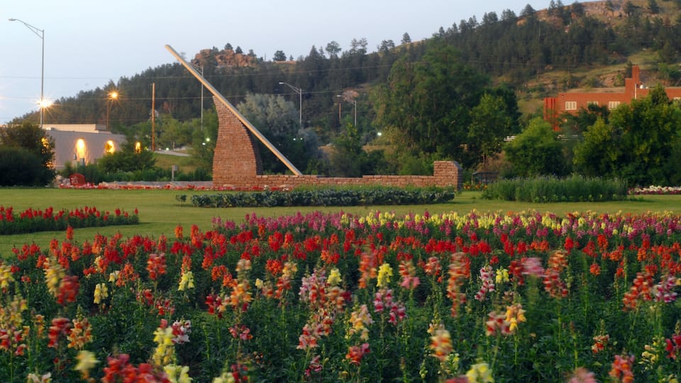 Rapid City featuring wild flowers, flowers and a garden