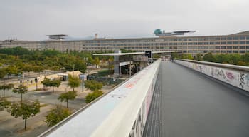 Lingotto showing a bridge and landscape views