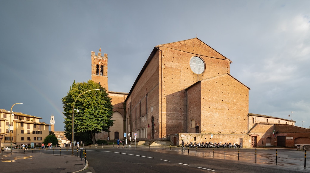 Basilica di San Domenico showing heritage architecture