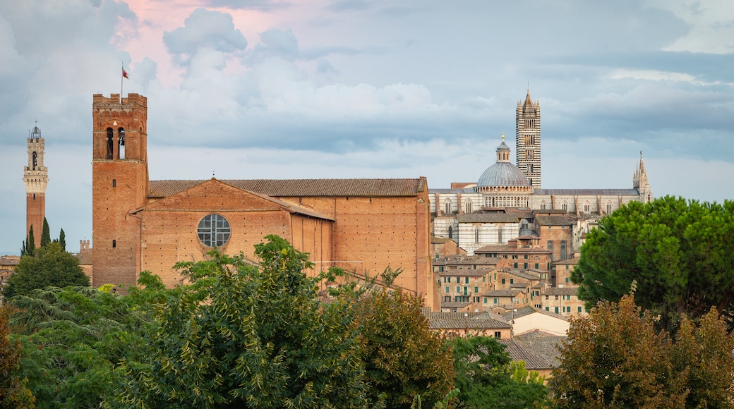 Basilica di San Domenico showing landscape views, a city and heritage architecture