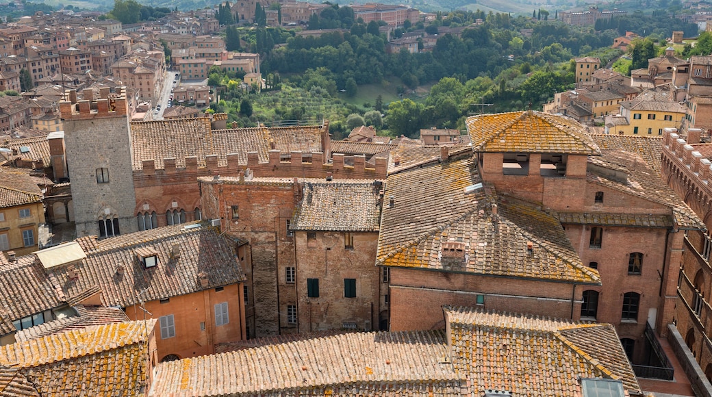 Museo dell\'Opera del Duomo