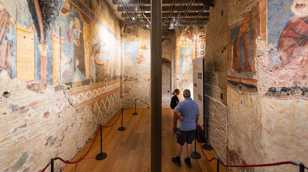 Siena Crypt