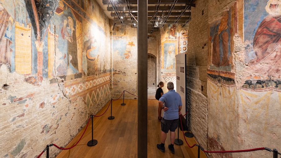 Siena Crypt