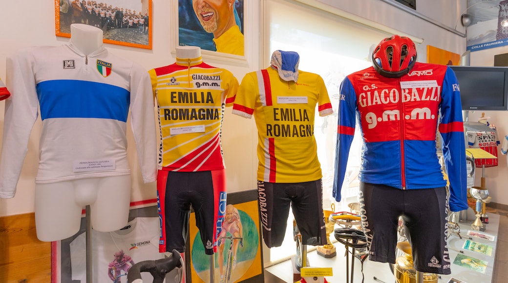 Museo Spazio Pantani