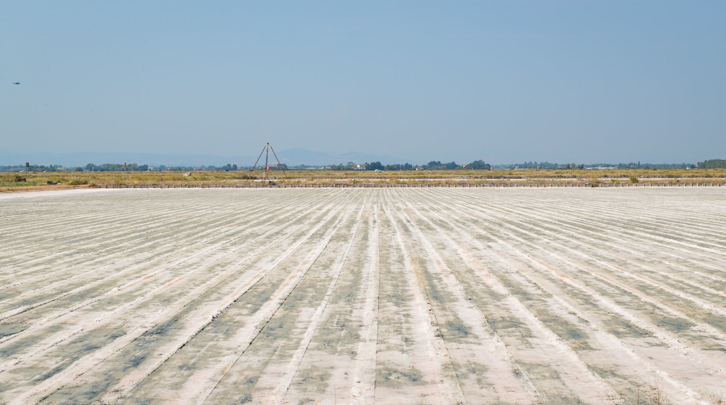 Parco della Salina di Cervia