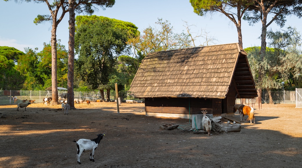 Natuurpark van Cervia