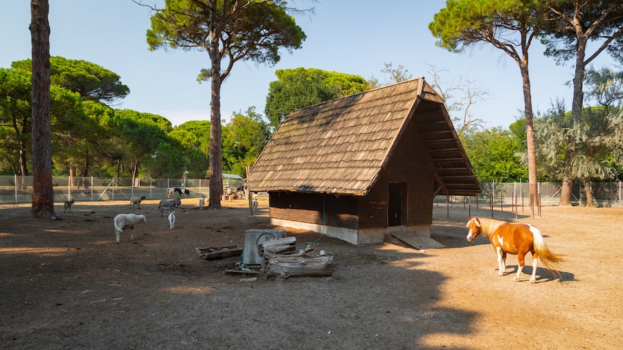 Cervia Natural Park