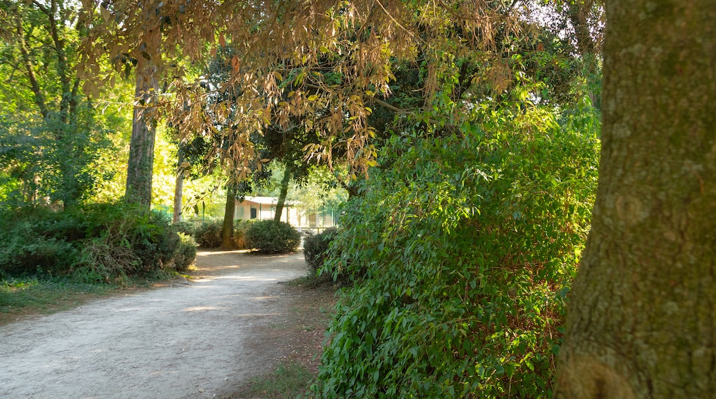 Cervia naturpark